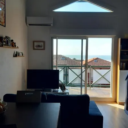 Appt For 6 Near The Beach And The Center * Biarritz